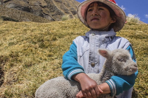 教练在场边因争议判罚做出夸张表情